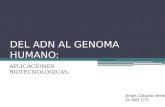 DEL ADN AL GENOMA HUMANO: APLICACIONES BIOTECNOLÓGICAS. Anaïs Claudio Verde 2n BAT CT1.