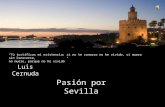 Tú justificas mi existencia; si no te conozco no he vivido, si muero sin conocerte, no muero, porque no he vivido Luis Cernuda Pasión por Sevilla.