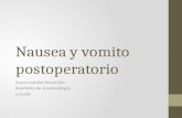 Nausea y vomito postoperatorio Vasco ordoñez fernandez Residente de anestesiologia univalle.