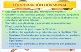 COORDINACIÓN HORMONAL • Está bajo el control del SNC: Hipotálamo-Hipófisis. • Características: química, general, lenta, duradera, sanguínea • Sólo actúan.