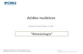 Acidos nucleícos Professor: Verónica Pantoja. Lic. MSP. “Kinesiologia” IPCHILE - DOCENTE:Veronica Pantoja S. 2014 Objetivo: Identificar los ácidos nucleicos.
