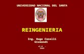 REINGENIERIA Ing. Hugo Caselli Gismondi UNIVERSIDAD NACIONAL DEL SANTA v2.0 - 2009.