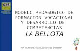“En la Bellota se encuentra todo el Roble” MODELO PEDAGOGICO DE FORMACION VOCACIONAL Y DESARROLLO DE COMPETENCIAS LA BELLOTA.