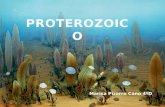 Marisa Pizarro Cano 4ºD. Eón [1] EraPeríodoM. añosEventos principales Proterozoico Neoproterozoico Ediacárico630 +5/-30 Formación de Pannotia. Fósiles.