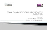 PROBLEMAS AMBIENTALES DE MÉXICO Y EL MUNDO: Coordina: Esther Mirón Balbuena Ángela M. Vergara Quiroz.