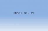 BUSES DEL PC. AGP Accelerated Graphics Port Es una especificación de bus que proporciona una conexión directa entre el adaptador de gráficos y la memoria.