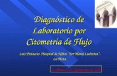 La Plata 13 de Noviembre de 2010 Diagnóstico de Laboratorio por Citometría de Flujo Luis Pistaccio. Hospital de Niños “Sor María Ludovica”. La Plata.