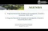 Dr.rer.nat. Román Castañeda Sepúlveda Director de Investigación, sede Medellín Medellín, Junio 2013 1.Programa Nacional de Semilleros de Investigación,