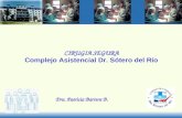CIRUGIA SEGURA Complejo Asistencial Dr. Sótero del Río Dra. Patricia Barrera B.