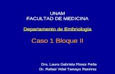 UNAM FACULTAD DE MEDICINA Departamento de Embriología Caso 1 Bloque II Dra. Laura Gabriela Flores Peña Dr. Rafael Vidal Tamayo Ramírez.