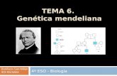 TEMA 6. Genética mendeliana 4º ESO - Biología Bonifacio San Millán IES Muriedas.