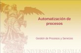 Automatización de procesos Gestión de Procesos y Servicios.