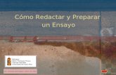 Cómo Redactar y Preparar un Ensayo Dra. Noraida Domínguez, 2010, rev 2012.