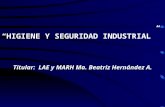 “HIGIENE Y SEGURIDAD INDUSTRIAL” Titular: LAE y MARH Ma. Beatriz Hernández A.