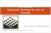 Dra. María G. Rosa-Rosario Percepción Diversas formas de ver el mundo Fuente:  .