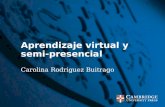 Aprendizaje virtual y semi presencial