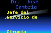 Dr. José Cambria Jefe del Servicio de Cirugía Plástica Hospital Bernardo Houssay Buenos Aires Argentina.