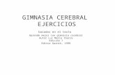 GIMNASIA CEREBRAL EJERCICIOS basados en el texto Aprende mejor con gimnasia cerebral Autor Luz María Ibarra Edición 7 Editor Garnik, 1999.