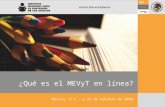 ¿Qué es el MEVyT en línea? México, D.F., a 22 de Febrero de 2008.