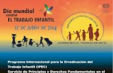 Programa Internacional para la Erradicación del Trabajo Infantil (IPEC) Servicio de Principios y Derechos Fundamentales en el Trabajo (FPRW)