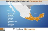 Proyectos Estratégicos Componente Trópico Húmedo Delegación Estatal Campeche.