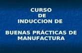 CURSO DE INDUCCION DE BUENAS PRÁCTICAS DE MANUFACTURA.