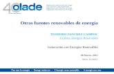 Otras fuentes renovables de energía Generación con Energías Renovables TEODORO SANCHEZ CAMPOS Experto, Energías Renovables 08 Marzo, 2013 Quito, Ecuador.