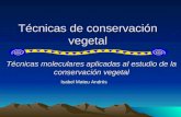 Técnicas de conservación vegetal Isabel Mateu Andrés Técnicas moleculares aplicadas al estudio de la conservación vegetal.