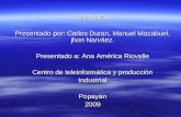 Mecánica Presentado por: Carlos Duran, Manuel Mazabuel, jhon Narváez. Presentado a: Ana América Riovalle Centro de teleinformática y producción IndustrialPopayán2009.