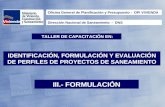 IDENTIFICACIÓN, FORMULACIÓN Y EVALUACIÓN DE PERFILES DE PROYECTOS DE SANEAMIENTO III.- FORMULACIÓN TALLER DE CAPACITACIÓN EN: Dirección Nacional de Saneamiento.