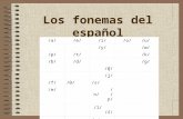 Los fonemas del español /a//e//i//o//u/ /y//w/ /p//t//k/ /b//d//g/ /ʧ/ /ʝ/ /f//θ//s/ /m//n/ /ɲ/ /l/ /ʎ/ /ɾ/ /r