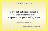 Déficit atencional e hiperactividad: aspectos psicológicos Juan Pérez Cobacho Universidad de Murcia.