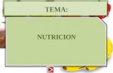TEMA: NUTRICION El Concepto de Nutrición La nutrición es una ciencia que se encarga de estudiar los nutrientes (sustancias nutricias/alimenticias o nutrimentos)