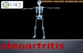Osteoartrosis Artrosis Enfermedad articular degenerativa.