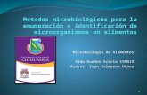 Microbiología de Alimentos Aldo Dueñes Acosta 199419 Asesor: Ivan Salmeron Ochoa 1.