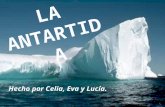 Hecho por Celia, Eva y Lucía.. La Antártida La fauna La flora Curiosidades - La Antártida - La fauna - La flora - El récord de los Récords - La vida en.