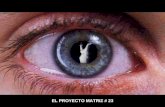 EL PROYECTO MATRIZ # 23 MERCADOS ALIMENTARIOS ARMA DE DESTRUCCIÓN MASIVA II.