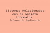 Sistemas Relacionados con el Aparato Locomotor Información Ampliatoria.
