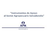 Www.bmi.gob.sv “Instrumentos de Apoyo al Sector Agropecuario Salvadoreño”