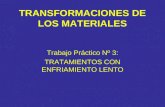 TRANSFORMACIONES DE LOS MATERIALES Trabajo Práctico Nº 3: TRATAMIENTOS CON ENFRIAMIENTO LENTO.
