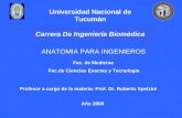 Universidad Nacional de Tucumán ANATOMIA PARA INGENIEROS Fac. de Medicina Fac.de Ciencias Exactas y Tecnología Carrera De Ingeniería Biomédica Profesor.