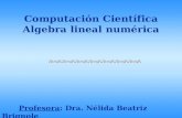 Computación Científica Algebra lineal numérica Profesora: Dra. Nélida Beatriz Brignole.