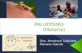 Plasmodium... Malaria... Paludismo