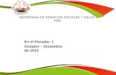 SECRETARIA DE SERVICIOS SOCIALES Y SALUD PQR En el Periodo: 1 Octubre – Diciembre de 2013.