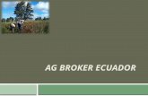AG BROKER ECUADOR. 1.1 DEFINICION DE BROKER  Es un intermediario de negociación entre Compradores y Vendedores que percibe un arancel o comisión sobre.