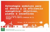 Estrategia andaluza para el ahorro y la eficiencia energética: objetivos, planes e incentivos 1 Rafael Márquez Berral Director de la Agencia Andaluza de.
