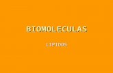 BIOMOLECULAS LIPIDOS. LIPIDOS  Grupo heterogéneo de biomoleculas con diferente estructura y función  Sustancias de los seres vivos que: a) Disuelven.