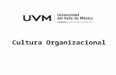 Cultura Organizacional. Cultura organizacional La cultura organizacional está relacionada con las normas escrita (y a veces hasta no escritas) de una.