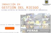 INDUCCIÓN EN GESTIÓN DEL RIESGO Contrato de Consultoría DPAE-FOPAE 731 de 2008 Para iniciar la inducción, ingrese su nombre Ingresar SISTEMA DISTRITAL.