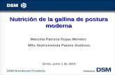 DSM Nutritional Products 0 Nutrición de la gallina de postura moderna Marcela Patricia Rojas Méndez MSc Nutricionista Países Andinos Girón, junio 1 de.